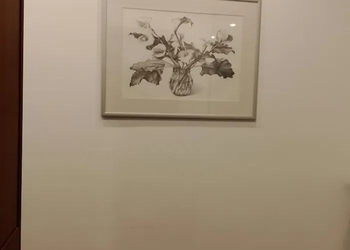 Casa 12 *